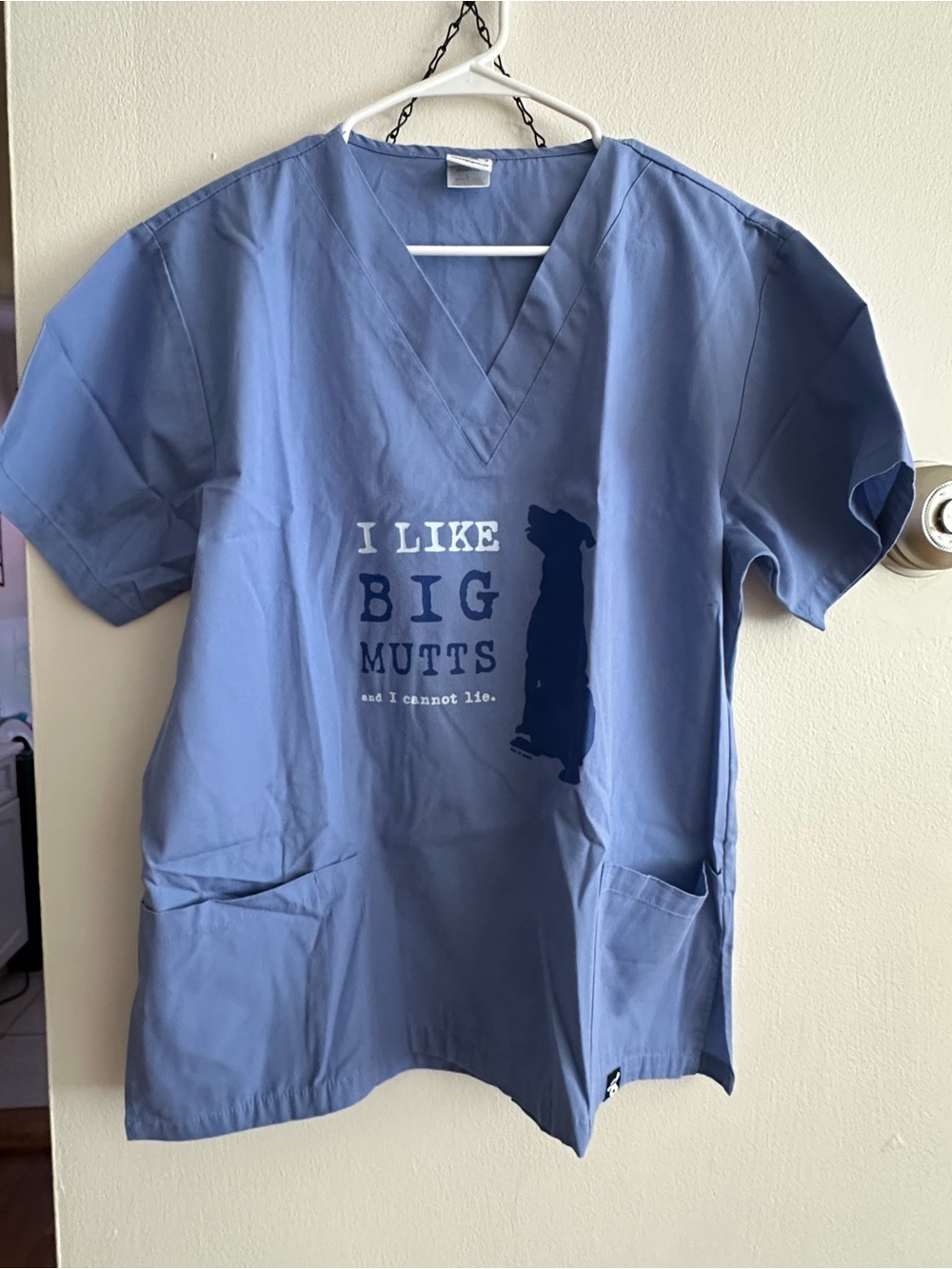 Light Blue Graphic Scrub Top - I Like Big Mutts